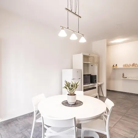 Leone * Misano Adriatico